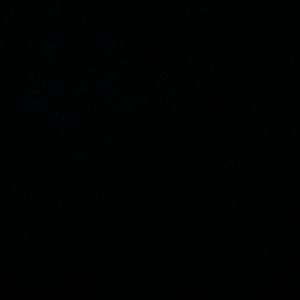 Meet your Posher, Abigail